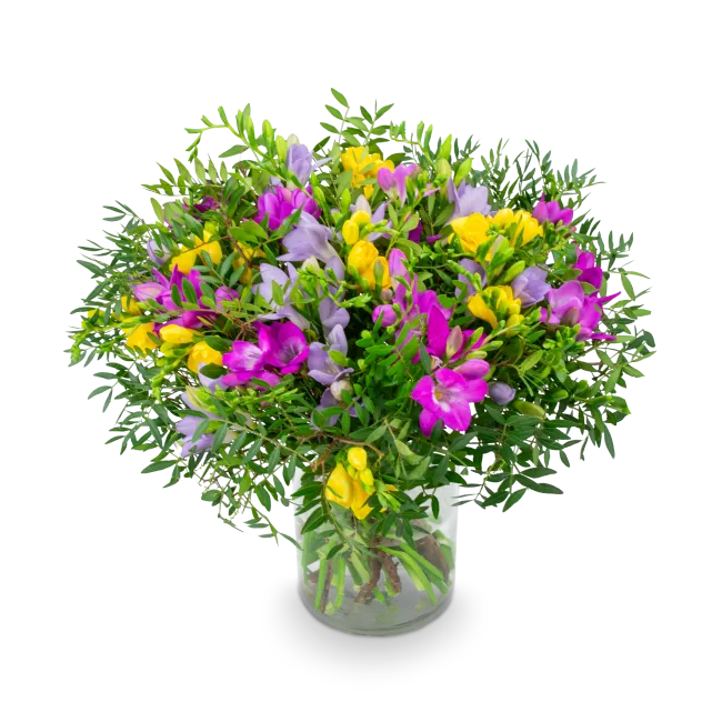 bouquet of freesia